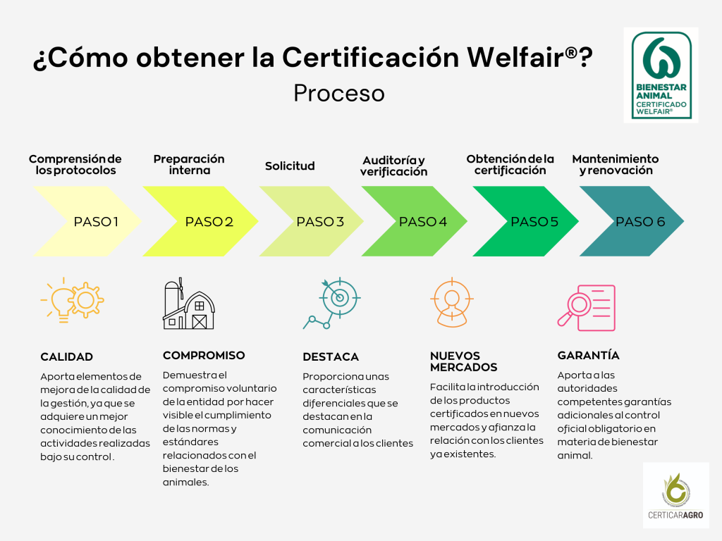 Gráfico de los pasos a seguir para obtener la Certificación Welfair con CertiAGRO