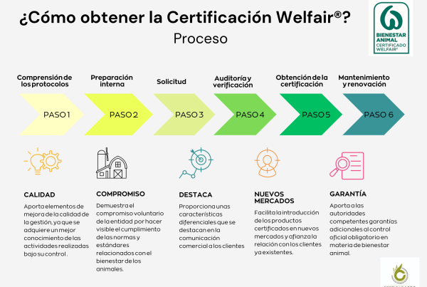 Gráfico de los pasos a seguir para obtener la Certificación Welfair con CertiAGRO