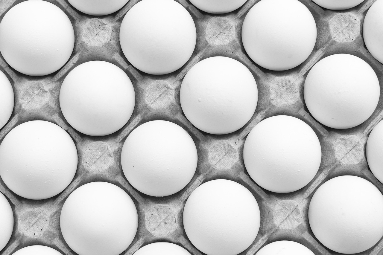 ¿Tu centro de embalaje marca huevos en sus propias instalaciones? Esto es lo que debes tener en cuenta