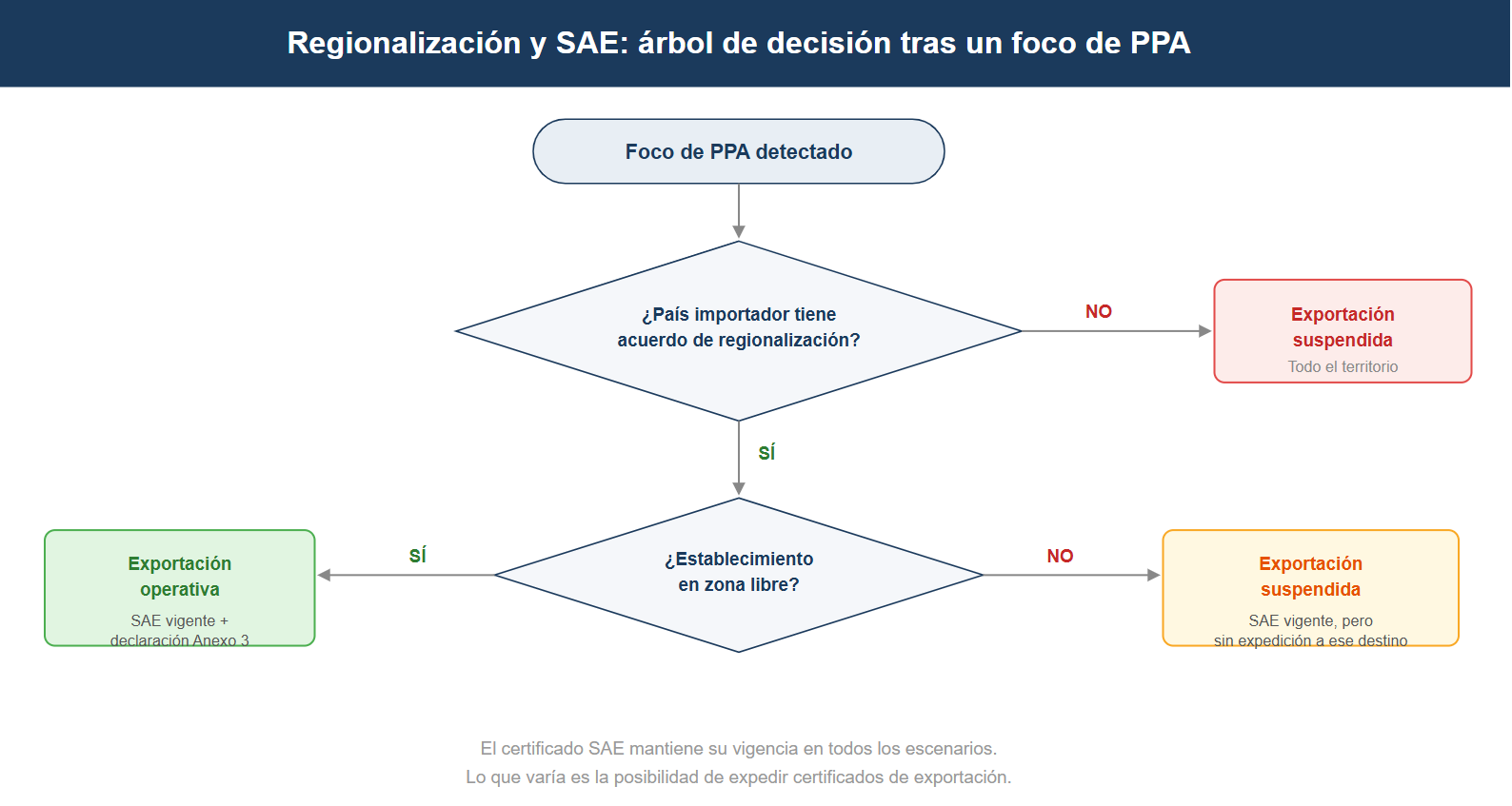 Regionalización sanitaria y SAE (II): qué cambia en la documentación según el tipo de acuerdo bilateral